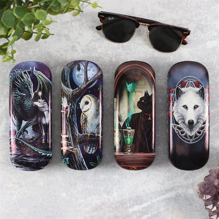 Protector of Magick glasses case by Lisa Parker - Lisa Parker, Something Diff...