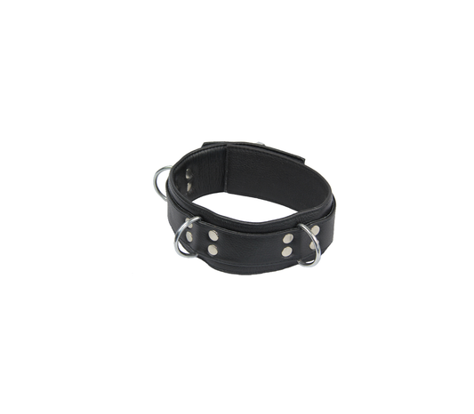 PADDED LEATHER COLLAR